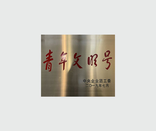 Награды 青年文明号