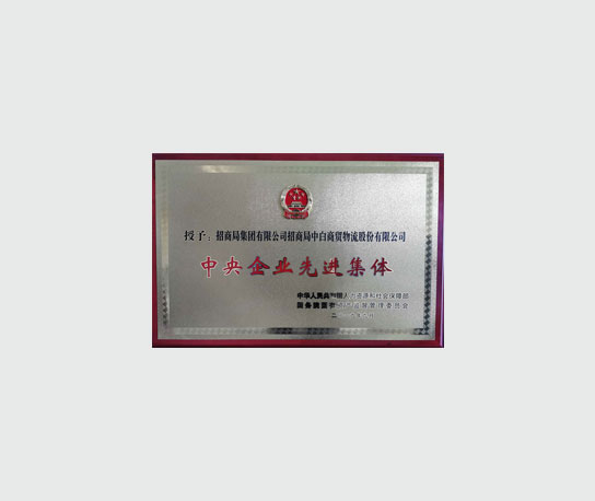 中央企业先进集体