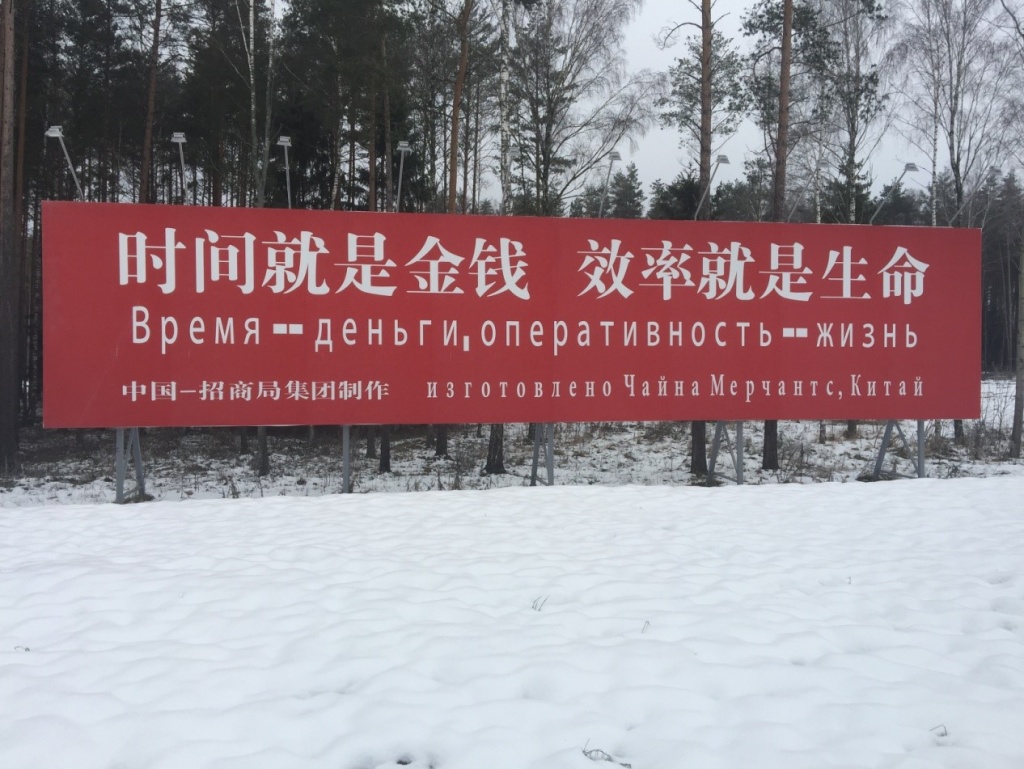 История развития