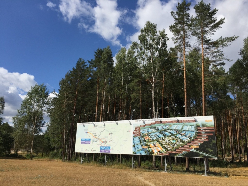 История развития