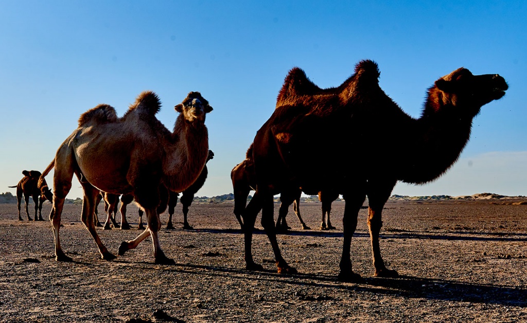 Начальное намерение и миссия