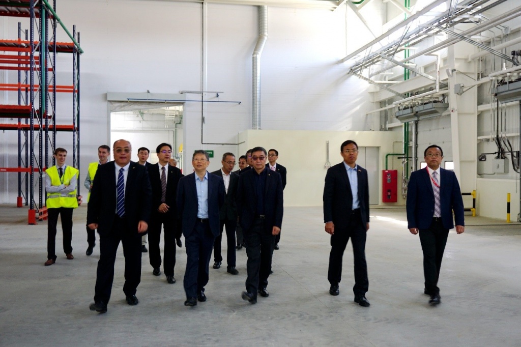 История развития