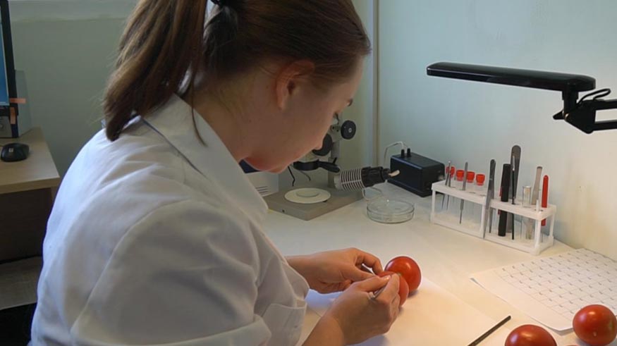 Складские услуги